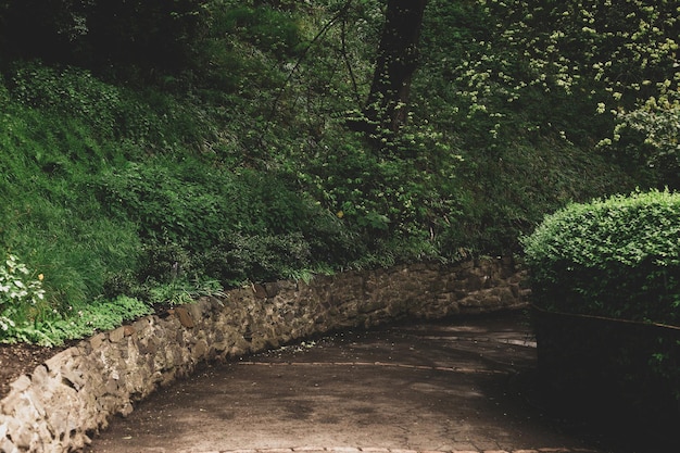 Allée de pierres dans la verdure