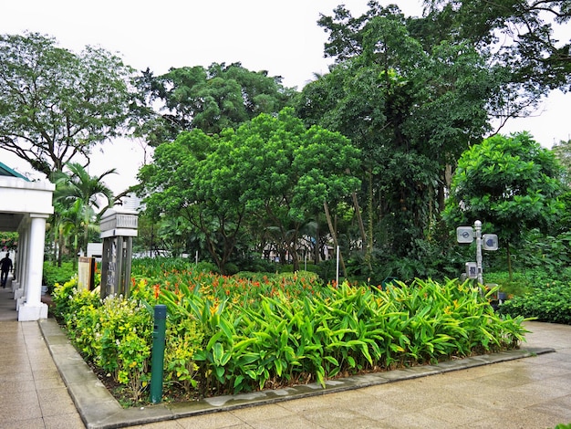 L'allée avec des plantes sur Orchard Road Singapore