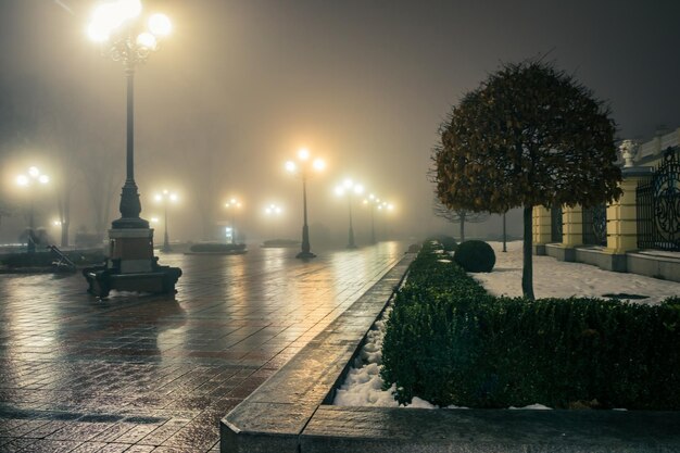 L'allée principale d'un parc d'hiver de nuit dans un brouillard sentier dans un parc de ville d'hivers fabuleux la nuit