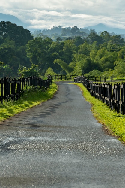 Allée rurale à travers les enclos de la ferme