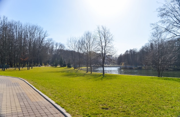 Allée sinueuse dans le parc