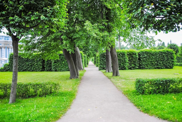 Allée de Tsarskoïe Selo à Saint-Pétersbourg