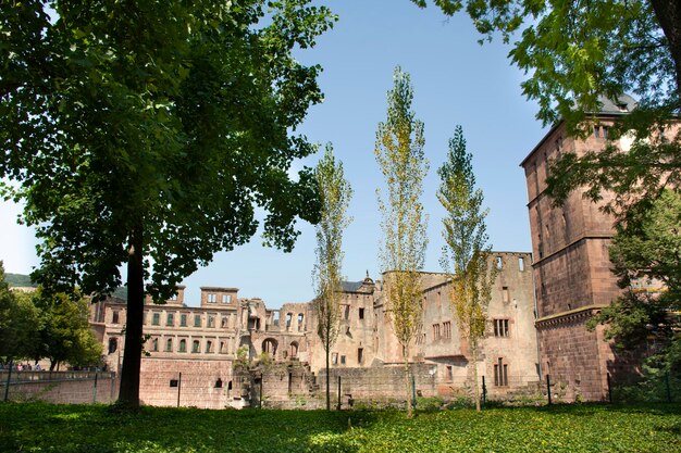 Les Allemands et les voyageurs étrangers marchant visitent et voyagent à l'intérieur du château de Heidelberg et l'allemand appelé Heidelberger Schloss est une ruine et un point de repère de Heidelberg dans le Bade-Wurtemberg en Allemagne