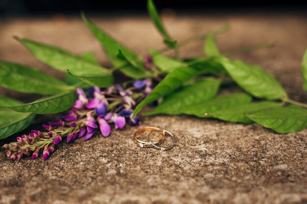 Alliances sur les pierres dans l'herbe