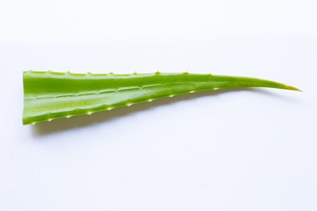 Aloe vera sur blanc