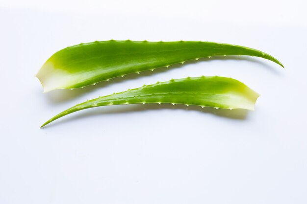 Aloe vera sur blanc