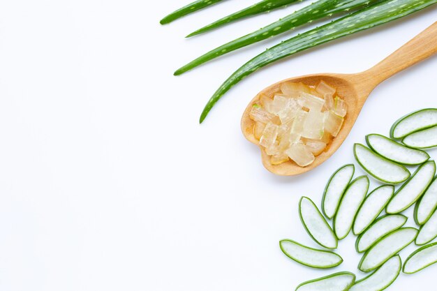 L&#39;Aloe Vera est une plante médicinale populaire pour la santé et la beauté, à fond blanc.