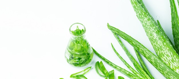 Aloe Vera et Extract BottleFresh feuilles d'aloès avec de l'huile essentielle sur fond blanc