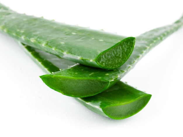 Aloe vera feuilles humides fraîches sur fond blanc