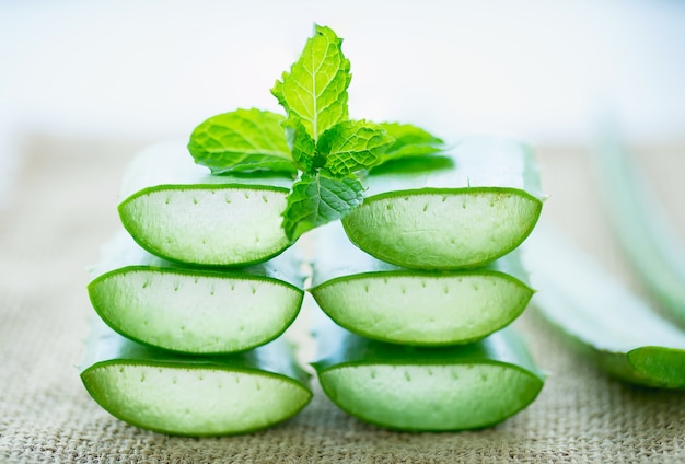 aloe vera avec des feuilles de menthe.