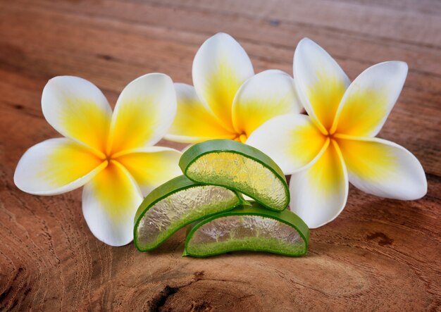 Aloe vera et fleur de frangipanier sur bois