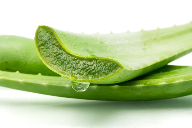 Aloe vera sur fond blanc L&#39;aloe vera est utilisé en médecine traditionnelle comme traitement de la peau.