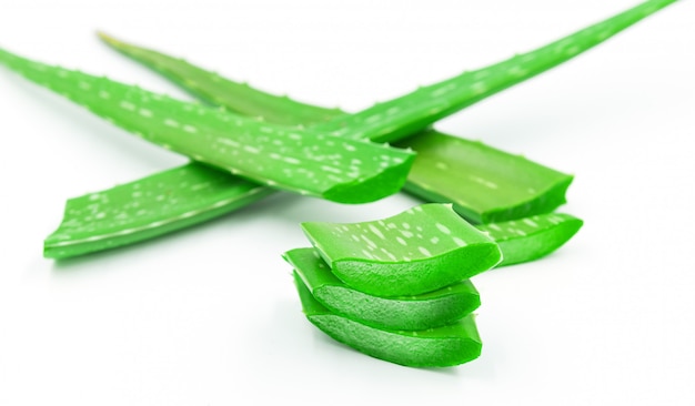 aloe vera frais sur fond blanc