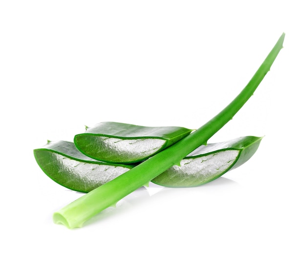 Aloe vera isolé sur blanc