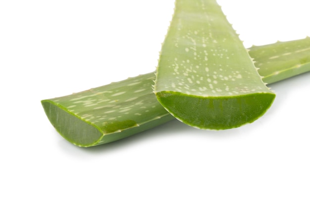 Aloe vera isolé sur fond blanc