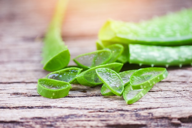 Aloe vera plantes naturelles herbes et plantes médicinales