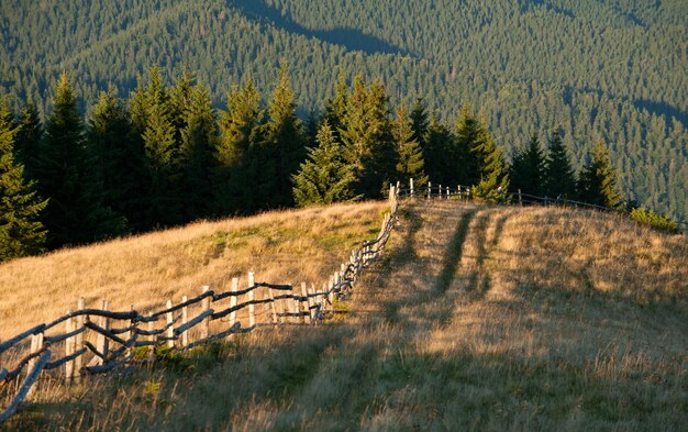 Alpage dans les montagnes