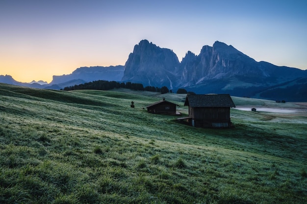 Alpe di Siusi au lever du soleil du matin Dolomites Italie