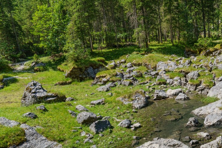 Photo les alpes autrichiennes près de gosau