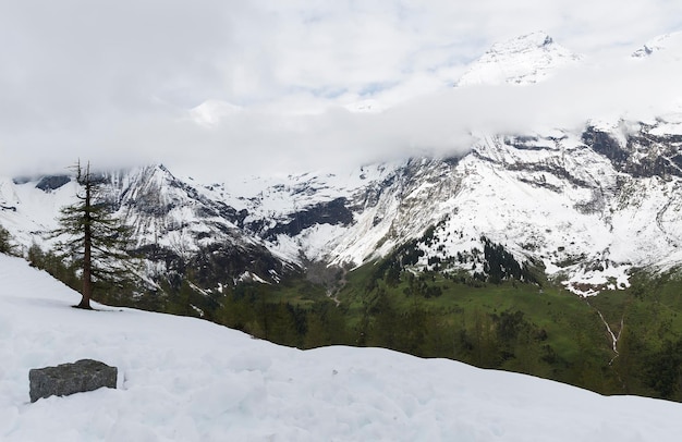 Alpes enneigées dans le paysage autrichien