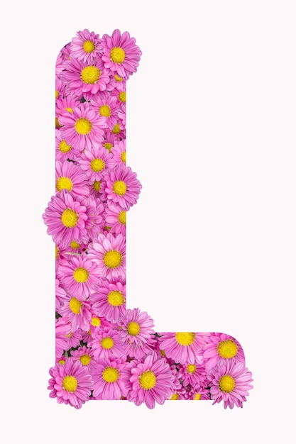 Alphabet artistique de la lettre L avec des fleurs de chrysanthème rose