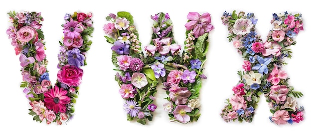 Alphabet à fleurs V W X fait de lettres florales colorées sur fond blanc