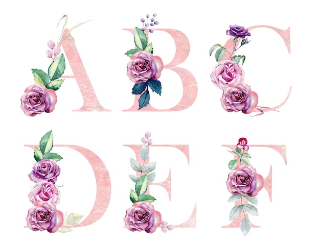 Alphabet floral aquarelle