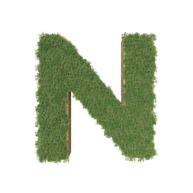 Alphabet N fait d&#39;arbre vert