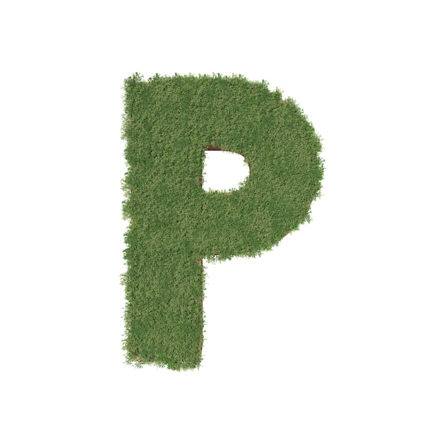 Alphabet P fait d&#39;arbre vert