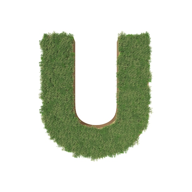 Alphabet U fait d&#39;arbre vert