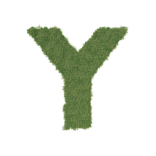 Alphabet Y fait d&#39;arbre vert