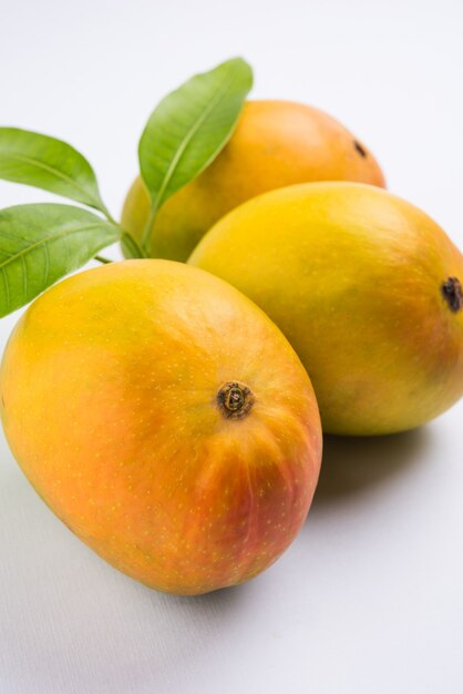 Alphonso Mango ou Hapoos Aam est un fruit de saison et juteux de l'Inde connu pour sa douceur, sa richesse et sa saveur. Sur fond coloré. Mise au point sélective