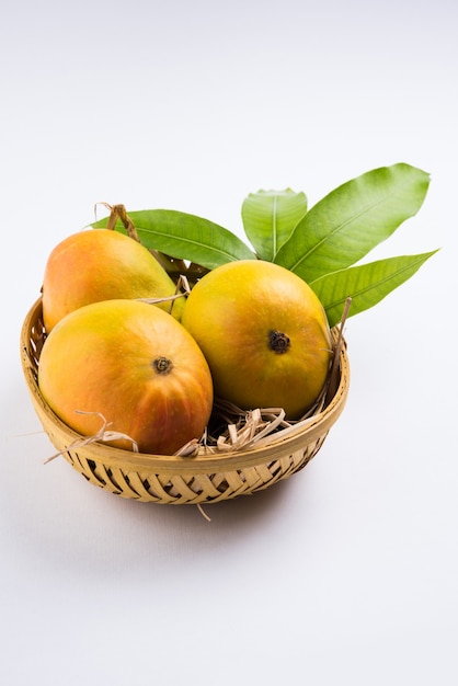 Alphonso Mango ou Hapoos Aam est un fruit de saison et juteux de l'Inde connu pour sa douceur, sa richesse et sa saveur. Sur fond coloré. Mise au point sélective
