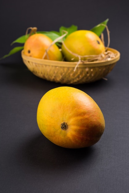 Alphonso Mango ou Hapoos Aam est un fruit de saison et juteux de l'Inde connu pour sa douceur, sa richesse et sa saveur. Sur fond coloré. Mise au point sélective