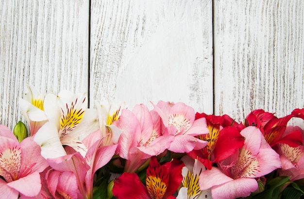 Alstroemeria en fleurs sur une table