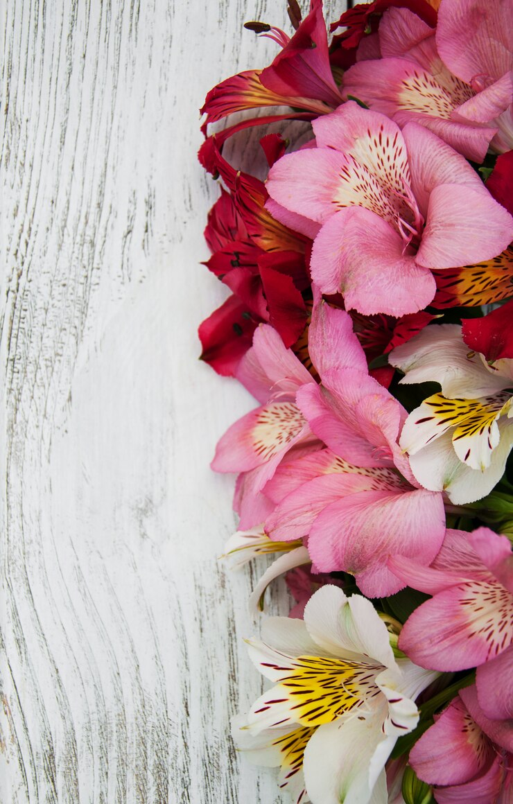 Photo alstroemeria en fleurs sur une table