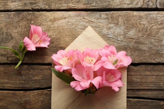 Alstroemeria rose en enveloppe sur fond de bois