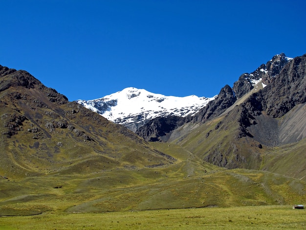 Altiplano dans les Andes, au Pérou, en Amérique du Sud