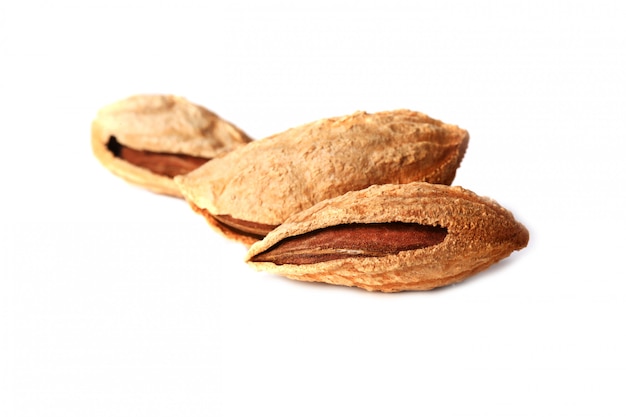 Amandes en coquillage isolé sur fond blanc