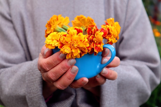 Ambiance d'automne un bouquet de soucis orange dans une tasse bleue dans les mains d'une femme contre un manteau gris gros plan de l'espace pour le texte