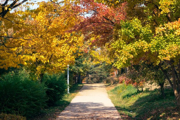 Ambiance d'automne dans un parc public.