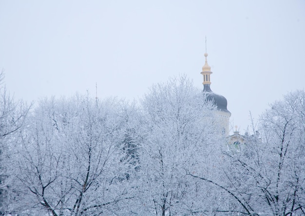 Ambiance hivernale