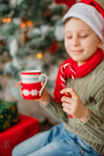 Ambiance de vacances de Noël