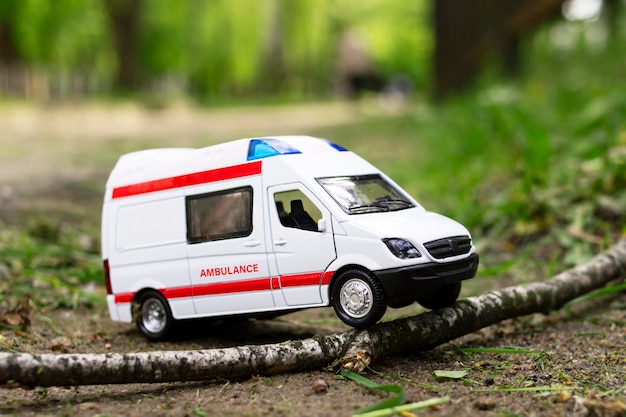 Ambulance coincée devant un arbre tombé