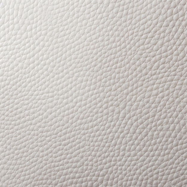 Améliorez votre décor avec des textures de luxe vides Découvrez la beauté du cuir véritable blanc