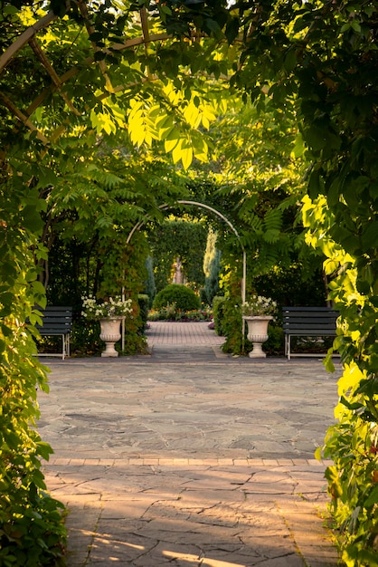 Aménagement paysager du parc, voûtes vertes issues de végétaux. Arbres, buissons, parterres de fleurs.