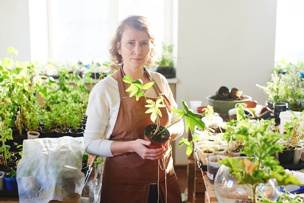 Aménagement paysager. La femme est une botaniste professionnelle, le fleuriste fait pousser des plantes