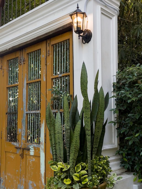 Aménagement paysager tropical dans le jardin de la maison