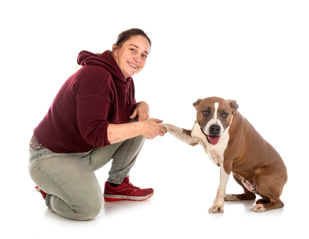 American stafforshire terrier et femme