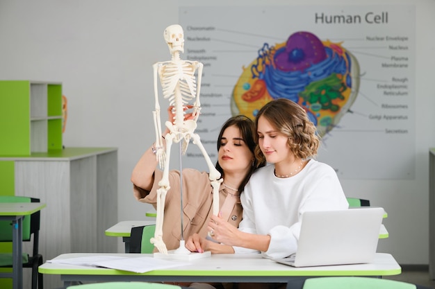 Des amies adolescentes du secondaire étudient la biologie avec un modèle de squelette humain et un ordinateur portable au bureau d'une salle de classe moderne